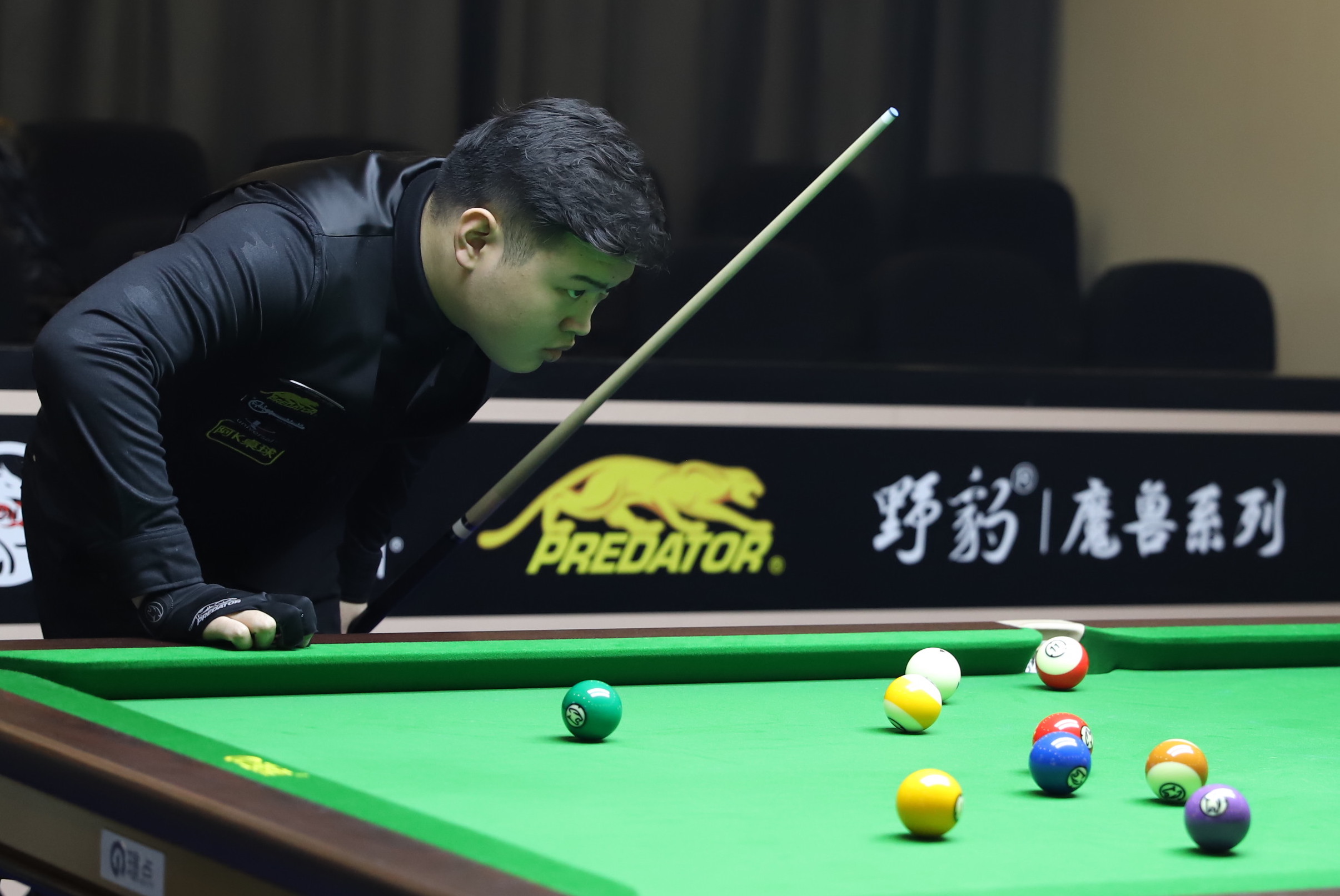 赛冠军的壮 赛冠军的壮