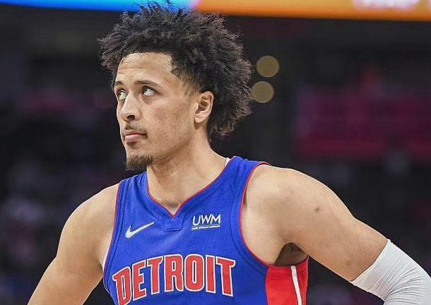 料真实性进 料真实性进